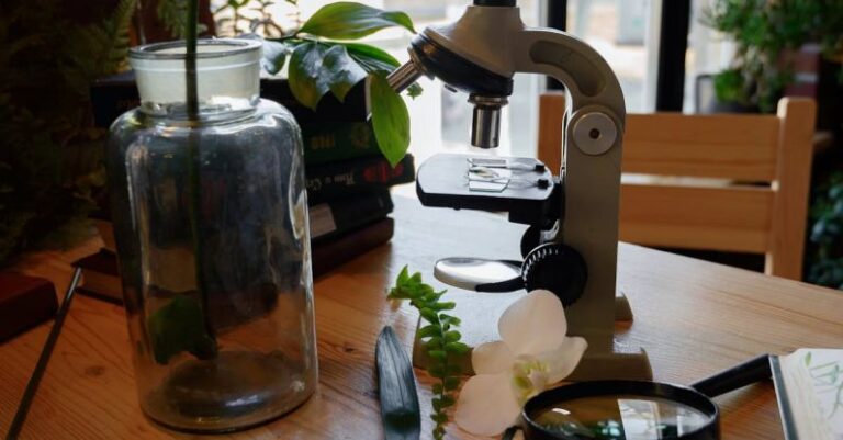 Taxonomies - Plants, a Microscope, and a Drawing of Plants